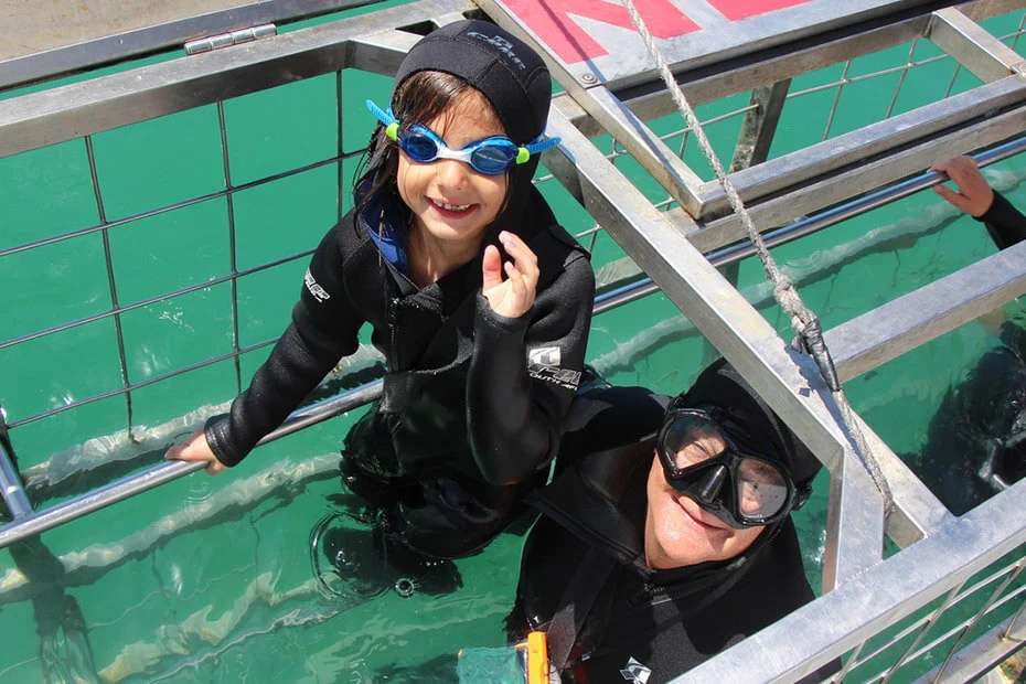 Shark-Cage-Diving-6