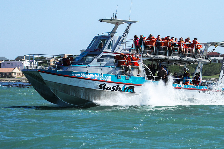 Shark-Cage-Diving-8
